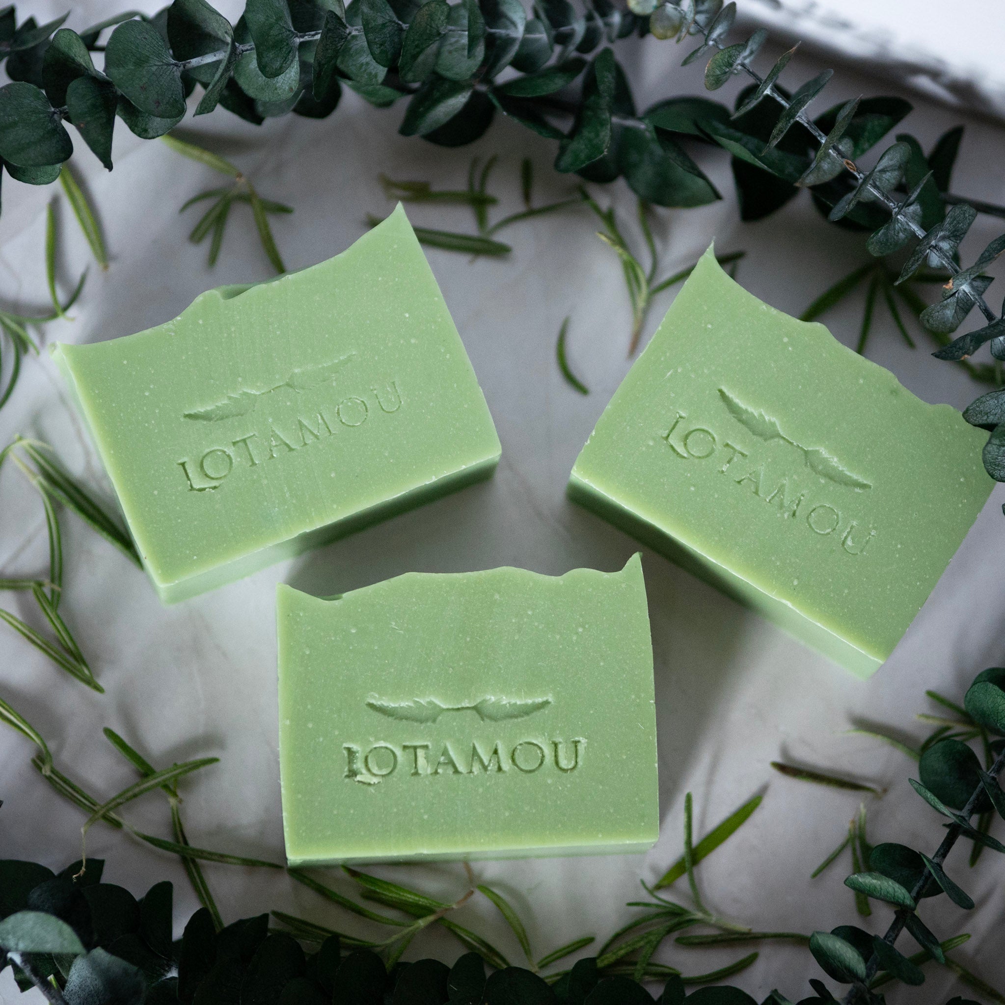 Three green soap bars with 'LOTAMOU' branding on a white surface with green leaves.