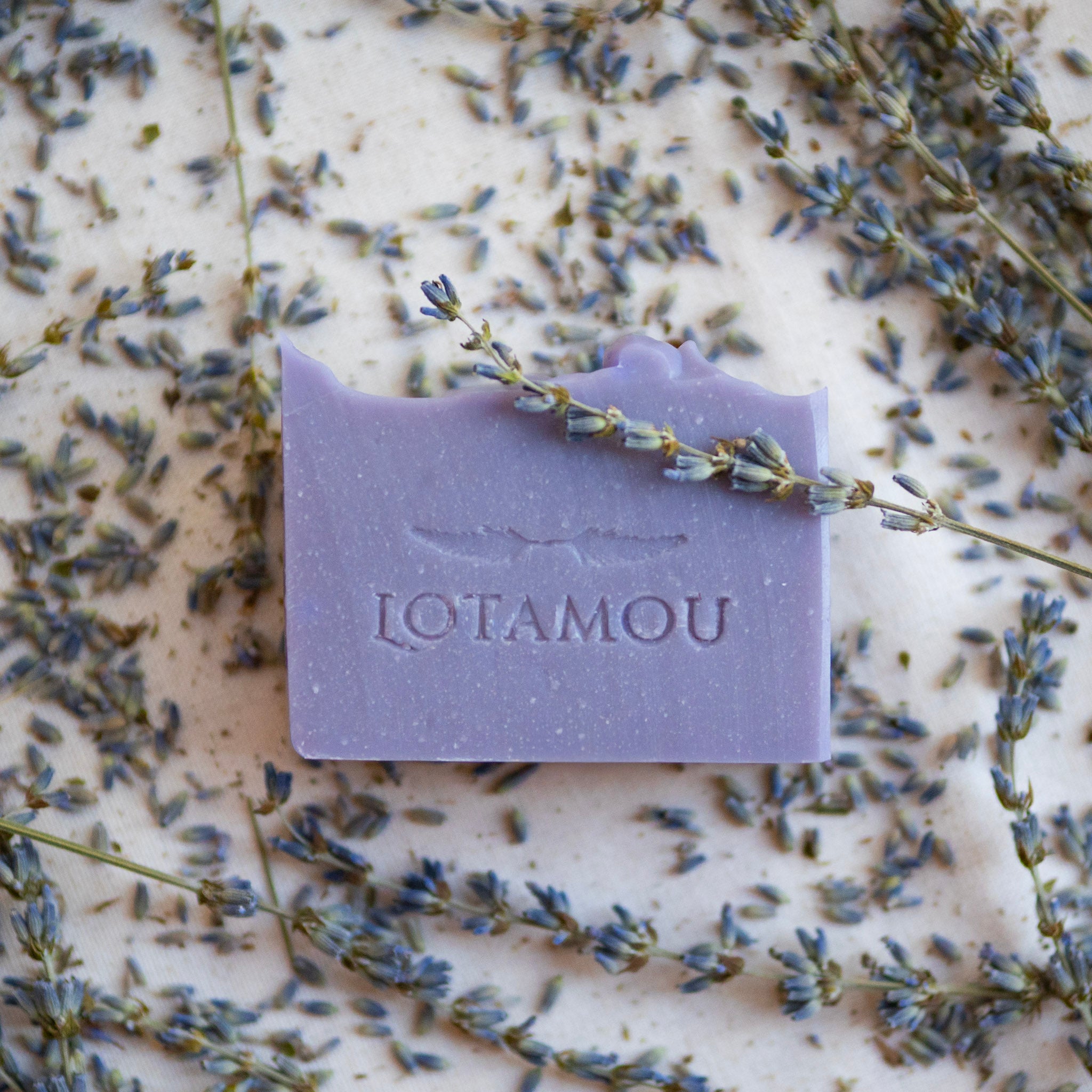 Purple soap bar with 'LOTAMOU' branding on a background of lavender flowers.