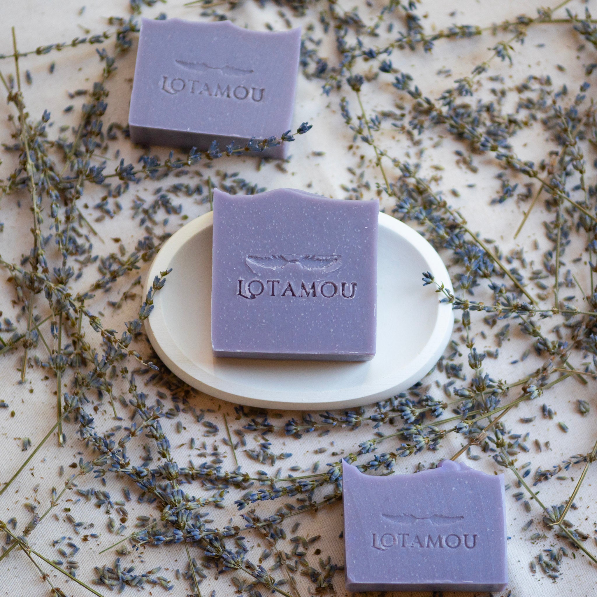 Purple soap bars with 'LOTAMOU' branding on a white plate surrounded by lavender flowers.