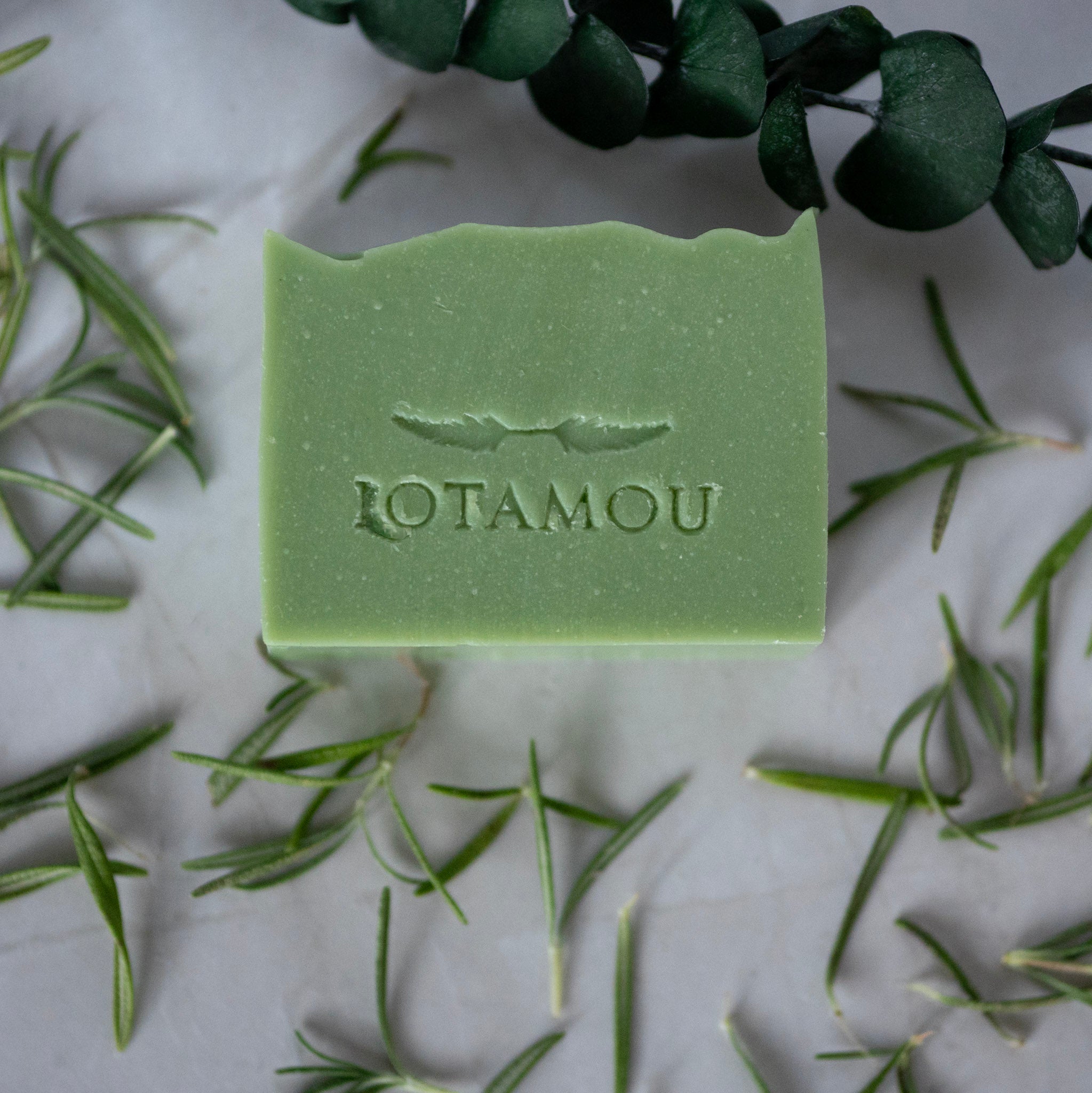 Green soap bar with 'LOTAMOU' branding surrounded by green leaves on a light background