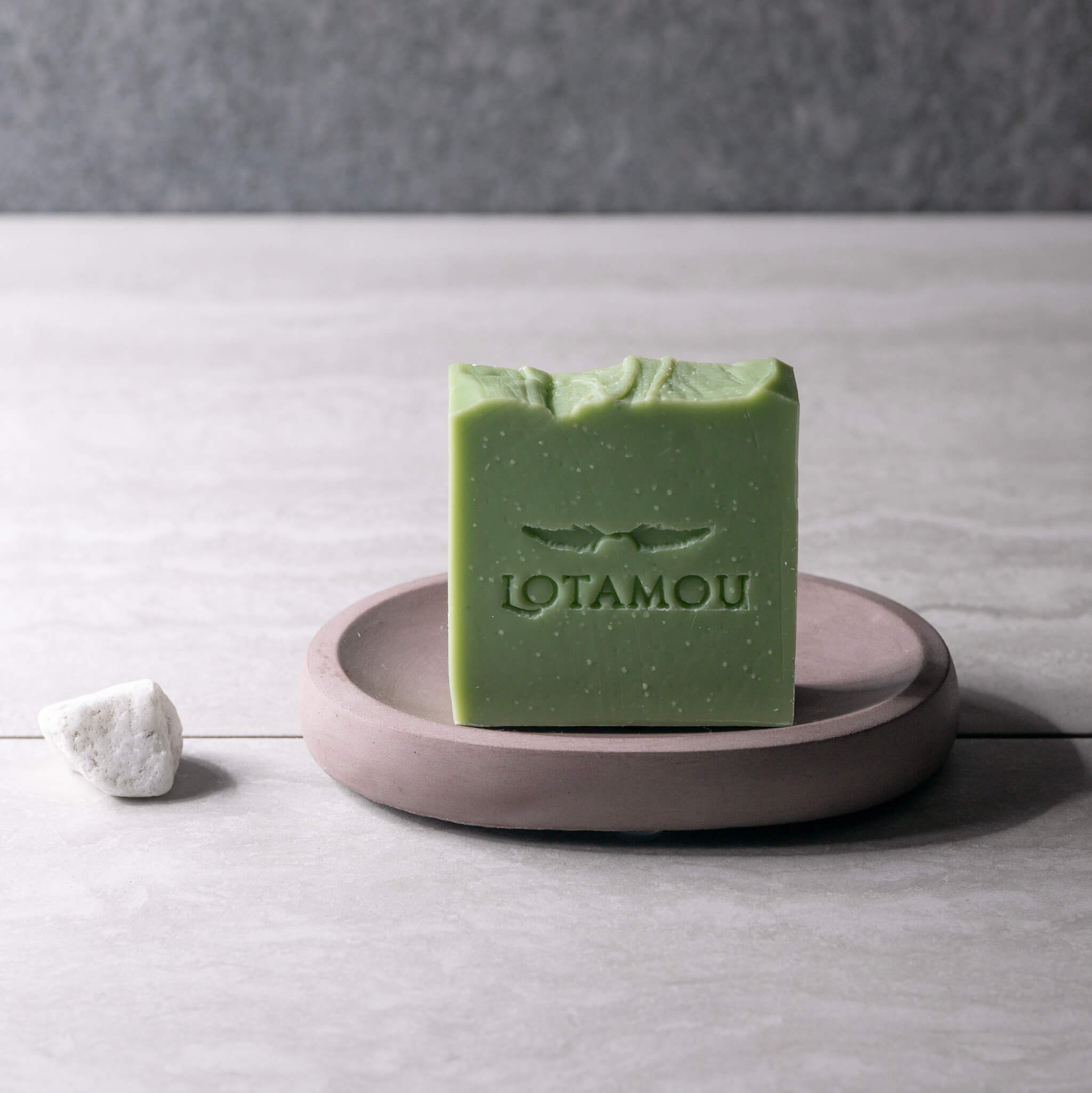 Oval Concrete Soap Dish | Cacao Brown