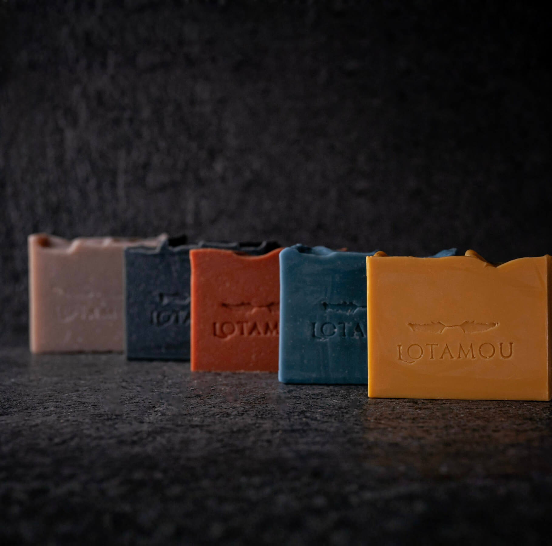The Curator's Five